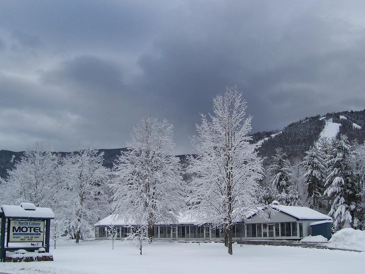 North Colony Motel And Cottages Bartlett Extérieur photo